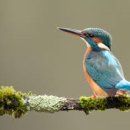 신흥골프스쿨 이미지