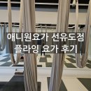 애니원 - 청주시 흥덕구 봉명동 | 선유도역 플라잉 요가 후기ㅣ애니원요가 베이직 수업