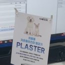 배방동물병원 이미지