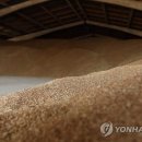 곡물농장 이미지