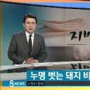 돈단지 이미지