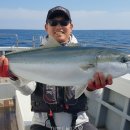 선장대형카 이미지