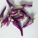 아싸노래방 이미지