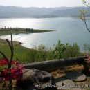 라이브 펜션 이미지