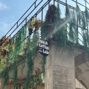 광주 늦게까지 하는 카페, 동명동 카페: 피스커피랩 peace coffee lab