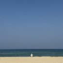 명파 해변 오토캠핑장 이미지