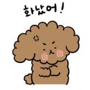 아는수의사 동물병원 이미지