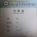 세종시복사꽃 마라톤 후기