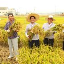 고성군 2 이미지