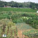 건지농장 이미지