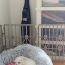 월평동물병원 이미지