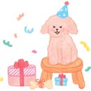 망고펫살롱 이미지