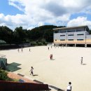 야음초등학교 이미지