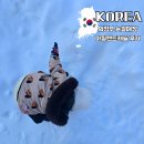 캐슬 | 의정부 아일랜드캐슬 키즈 스노우파크 눈썰매장 후기 먹거리 준비물 할인 예매