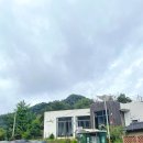 율리휴양로 | 청주·증평 카페추천 조용하고 책읽기 좋은 카페율리 - 건강한 말차라떼 후기