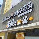 카페쵸이 - 창원시 진해구 여좌천로 158-12 | 청주 봉명동 고양이 카페 쵸이캣 방문 후기 / 고양이와 힐링하기 / 실내 데이트 코스