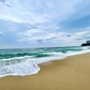 유유자작 네이버블로그