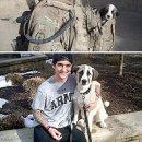 아기강아지 이미지