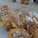 자연과사람 이미지