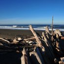 지상낙원 c 이미지