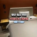 브라운도트부산신항만점 시그니처 네이버블로그