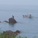 양포삼거리 아구탕 이미지