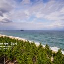 바다정원 이미지