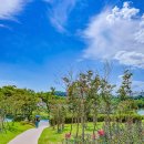 보라매공원 이미지