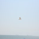 대천힐링펜션 이미지