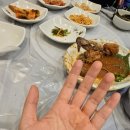 천안 두정동 생선구이 게장 맛집 &lt;황금꽃게장&gt; 내돈내산 후기