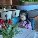 Golden Birthday | 속초 카시아 호텔 앤 리조트 레스토랑 포고 FOGO 주말 런치세트메뉴 후기 + 스카이파크에서 즐거운시간