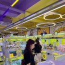 캐칭덕 오락실 이미지