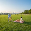 화명꿈 | 2026년 부산 화명생태공원: 숨겨진 매력부터 최신 정보까지 완벽 가이드