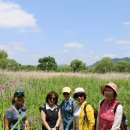 17년만의 외출 (미사 당정뜰) 이미지