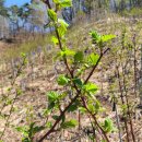 광재농장 이미지