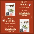아일랜드샵 이미지