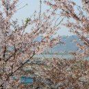 북구 빙상센터 입구 이미지