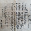 동양주 이미지