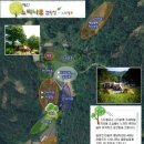 충남 예산 산속 숲속느낌 아이들의 놀이터 예산느티나무캠핑장