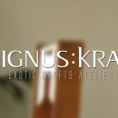 리그너스 디자인