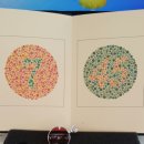 푸른안경원 이미지