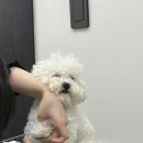 찰스앤에디 이미지