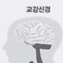 어썸핏 지비 이미지