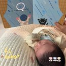 산후도우미 정부 지원 내 돈 내산 분당/의왕/과천/경기 산후도우미 추천 위드맘