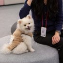 펫프렌즈동물병원 이미지