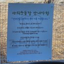 용성길 | 평택 안중 애견동반카페 조댕이네 방문후기