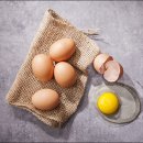 스카이휘트니스헬스 이미지