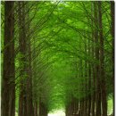 시골길펜션 이미지