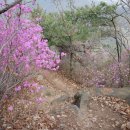 천주산식당 이미지