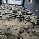 평일초등학교 | 짐 싸기 전 급한 불 끈 썰 푼다! 평택 철거 씩씩이철거 덕분에 순삭!